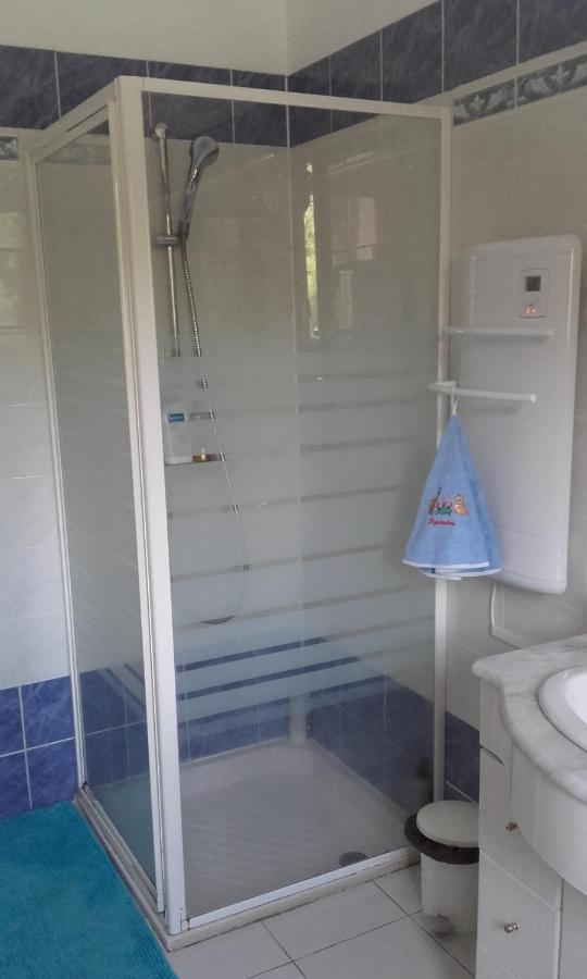 Chez Yvette , C'Est Chouette!! Bed and Breakfast Καρκασόν Εξωτερικό φωτογραφία