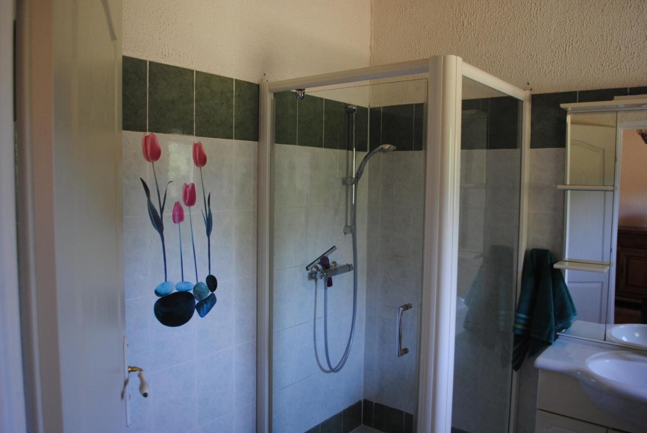 Chez Yvette , C'Est Chouette!! Bed and Breakfast Καρκασόν Εξωτερικό φωτογραφία