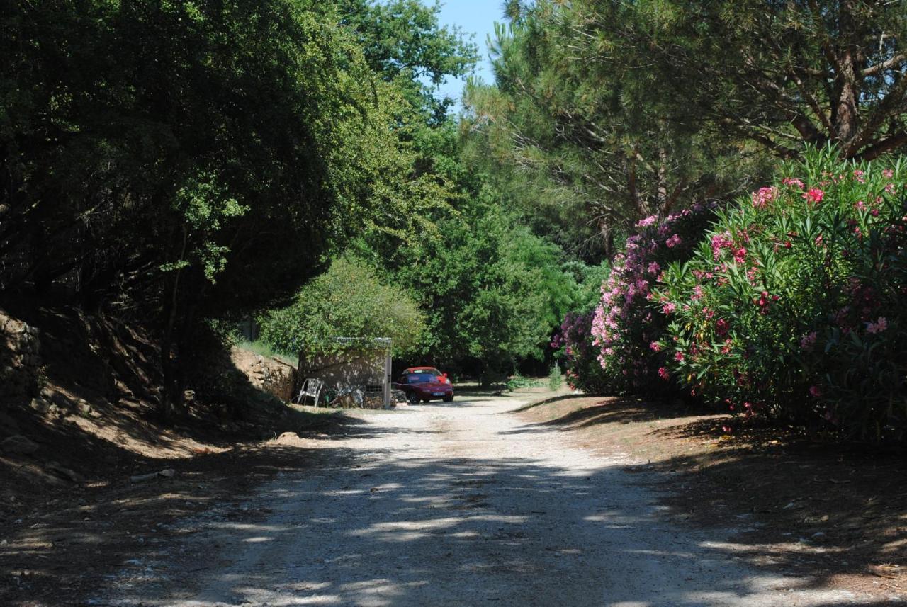 Chez Yvette , C'Est Chouette!! Bed and Breakfast Καρκασόν Εξωτερικό φωτογραφία