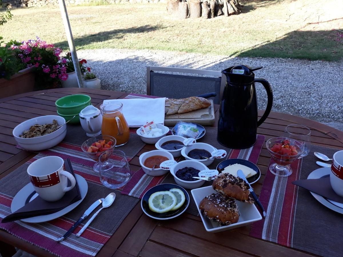 Chez Yvette , C'Est Chouette!! Bed and Breakfast Καρκασόν Εξωτερικό φωτογραφία
