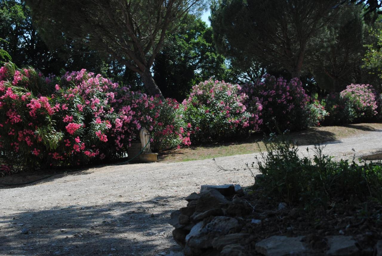 Chez Yvette , C'Est Chouette!! Bed and Breakfast Καρκασόν Εξωτερικό φωτογραφία