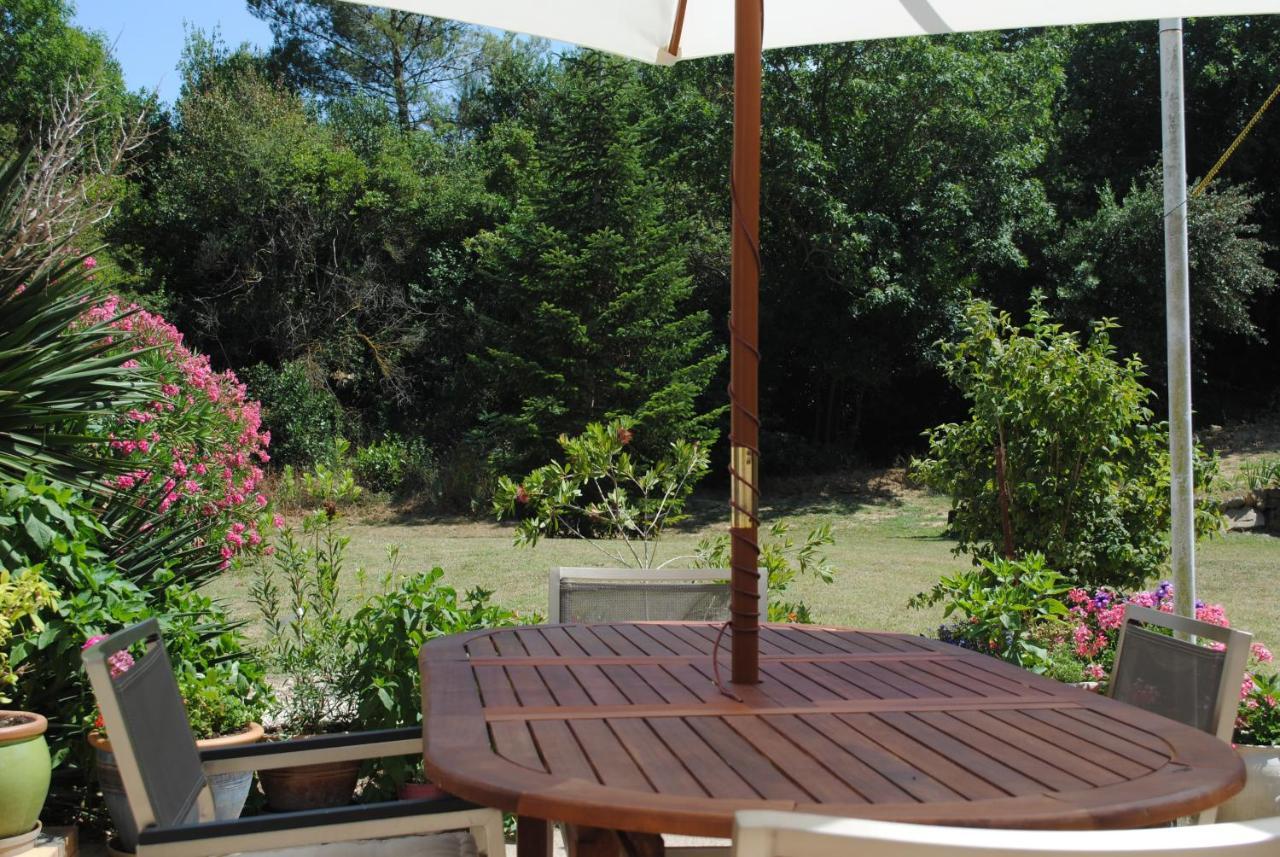 Chez Yvette , C'Est Chouette!! Bed and Breakfast Καρκασόν Εξωτερικό φωτογραφία