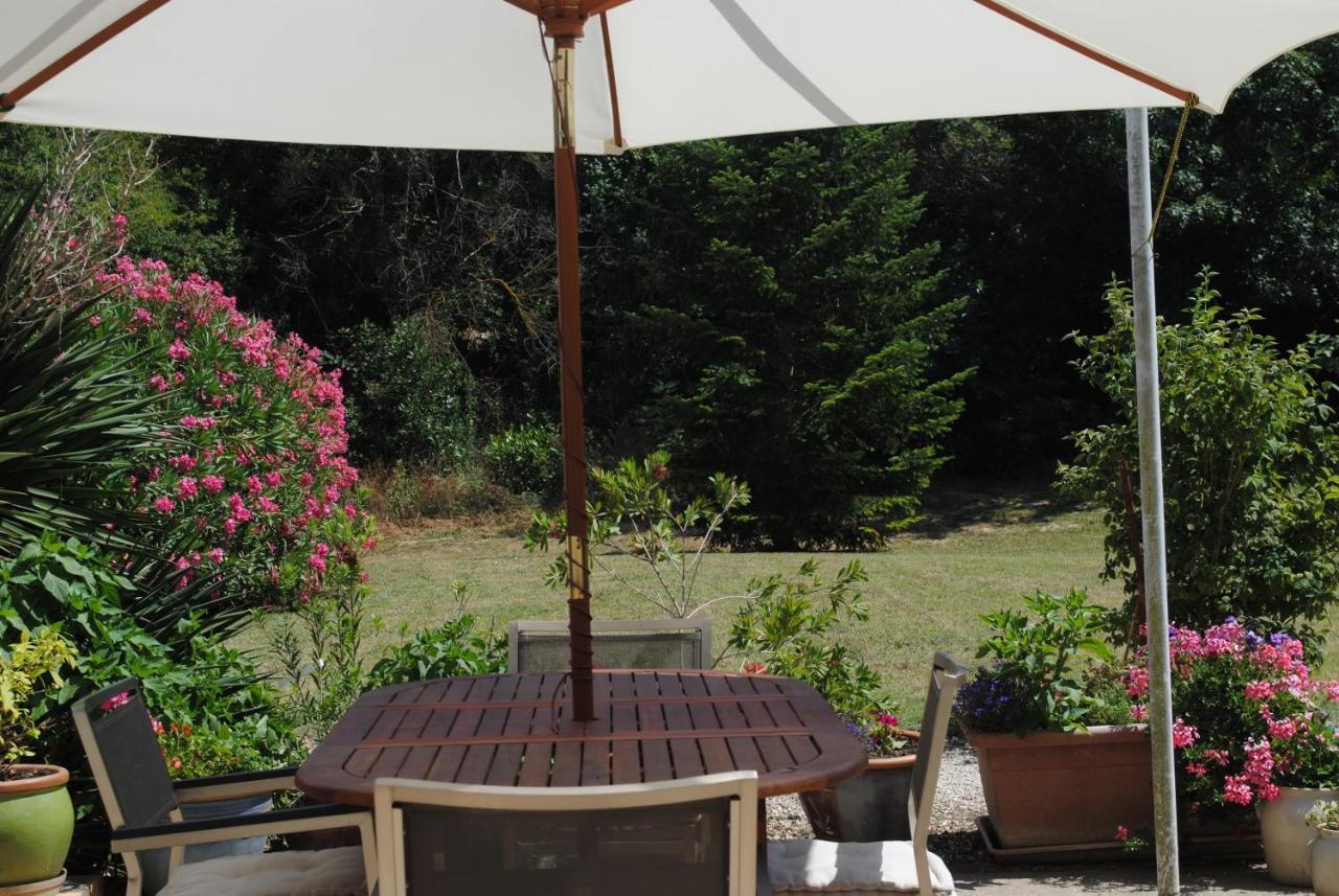 Chez Yvette , C'Est Chouette!! Bed and Breakfast Καρκασόν Εξωτερικό φωτογραφία