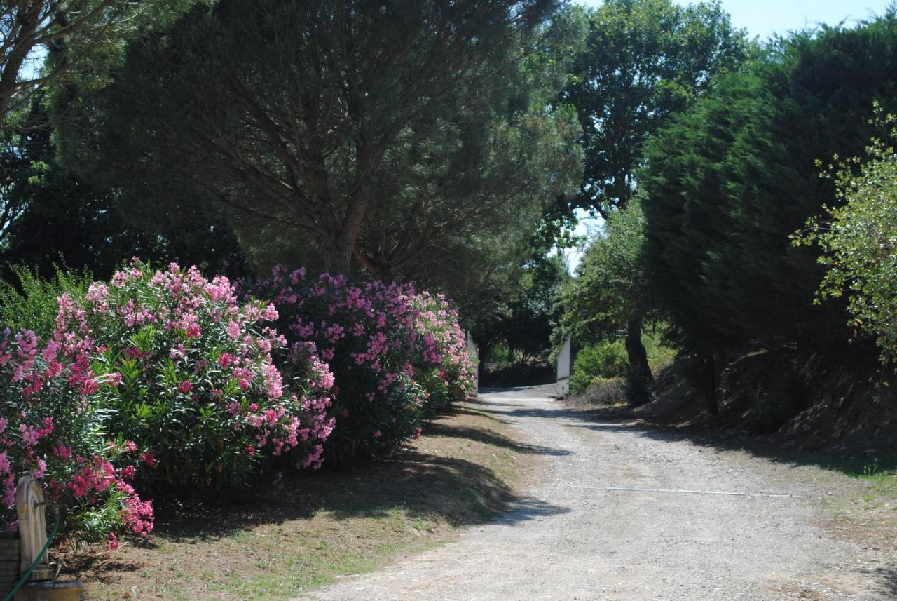 Chez Yvette , C'Est Chouette!! Bed and Breakfast Καρκασόν Εξωτερικό φωτογραφία