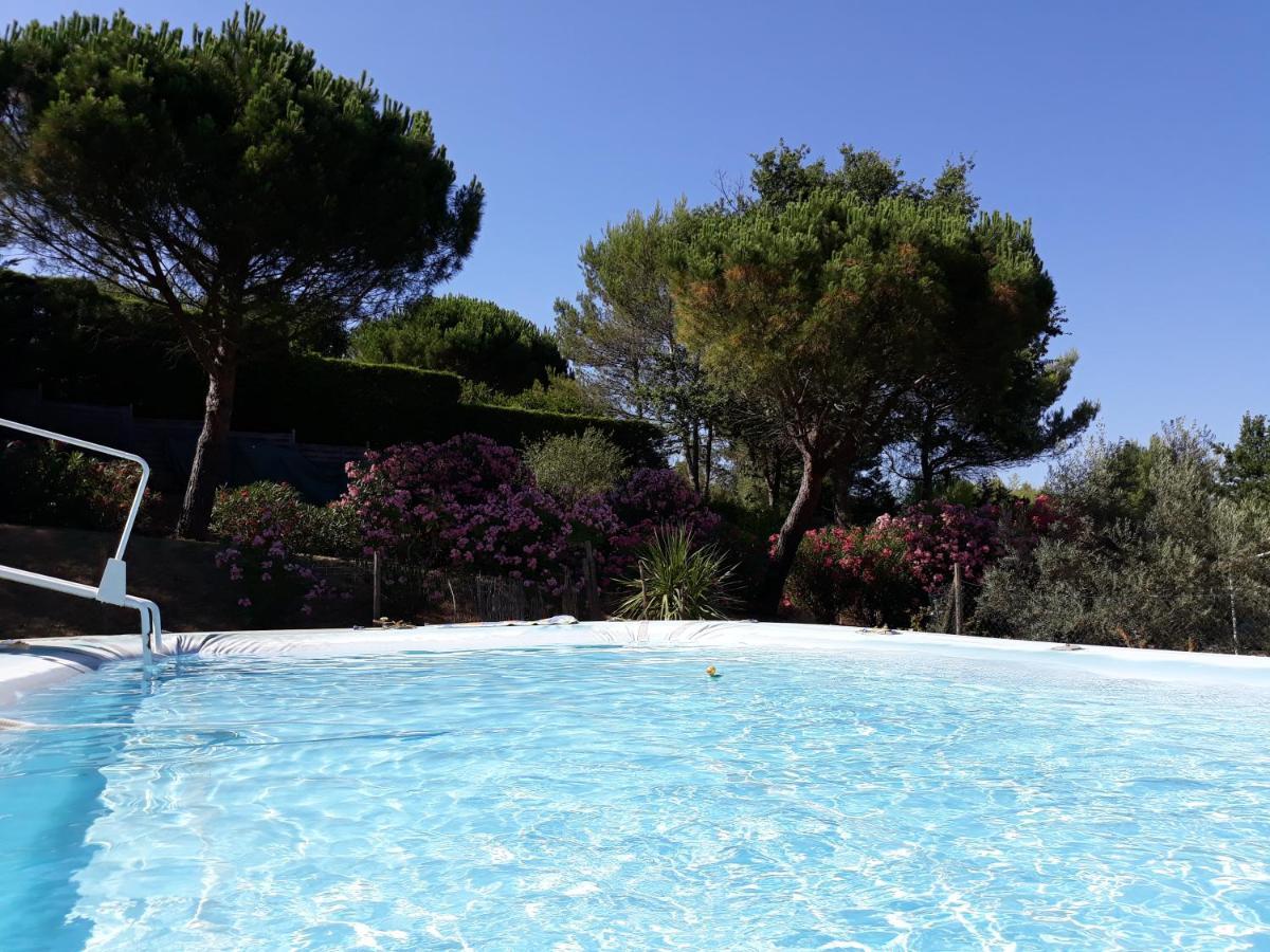 Chez Yvette , C'Est Chouette!! Bed and Breakfast Καρκασόν Εξωτερικό φωτογραφία